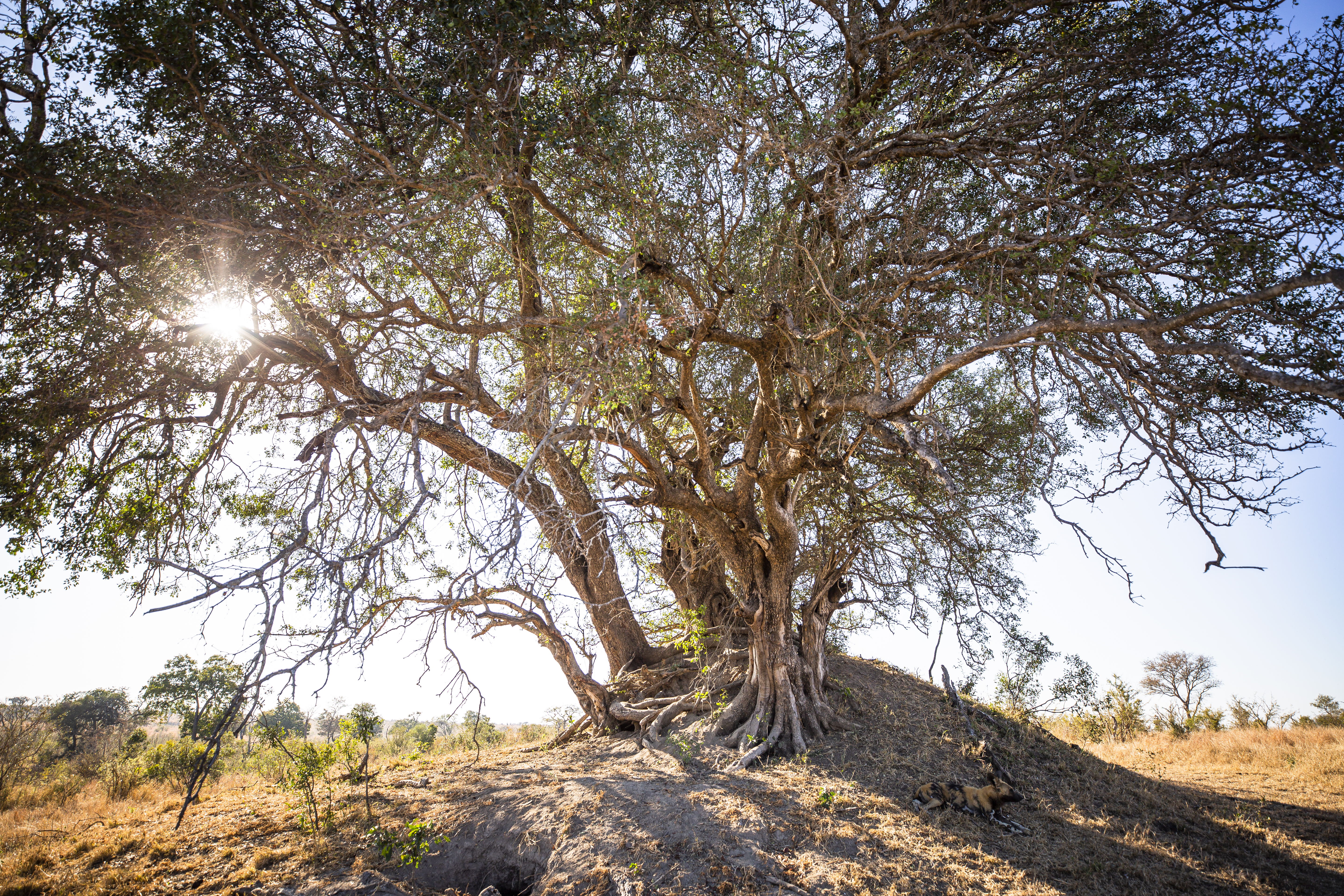 Conexión Unisabana 360