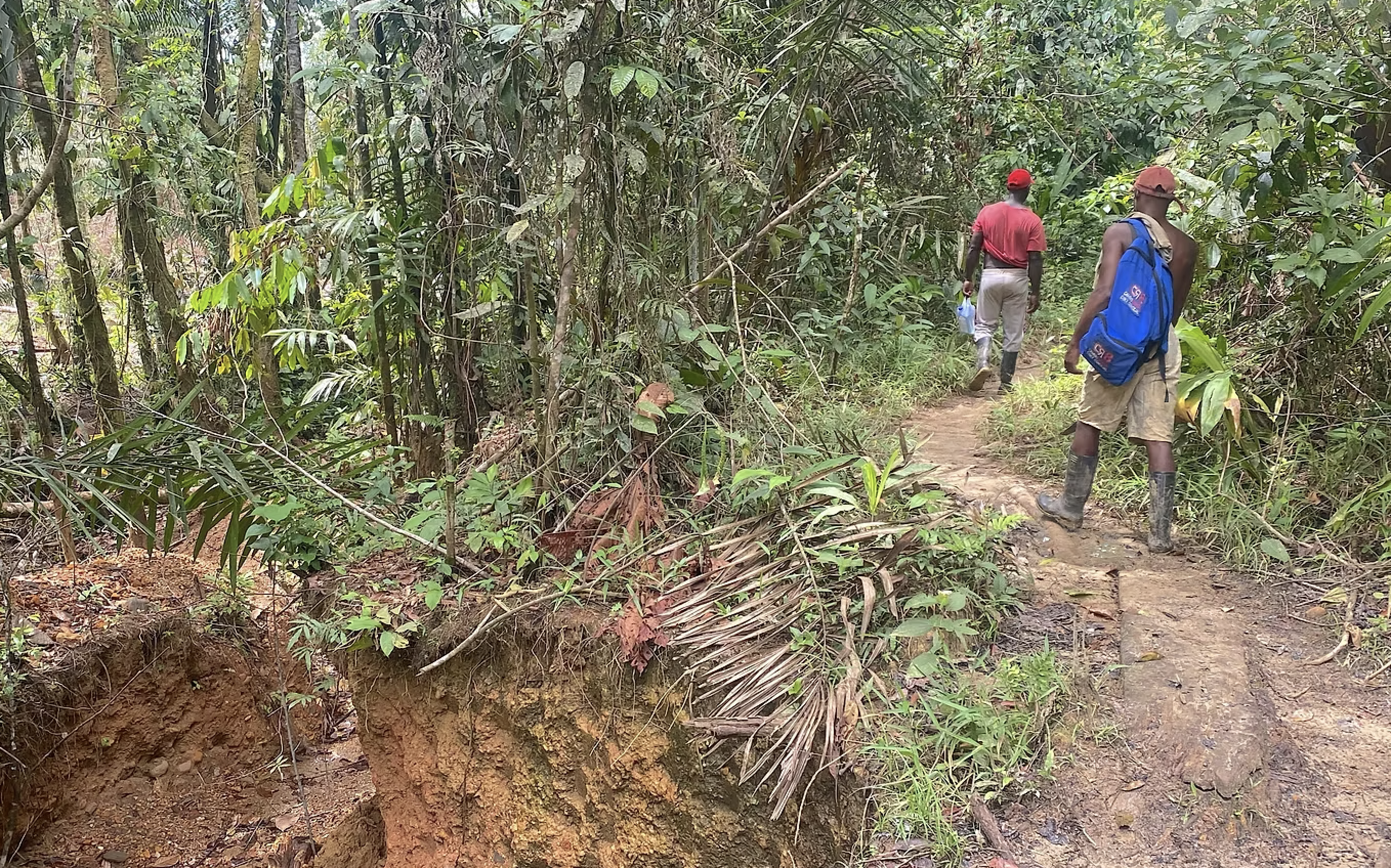 Conexión Unisabana 360