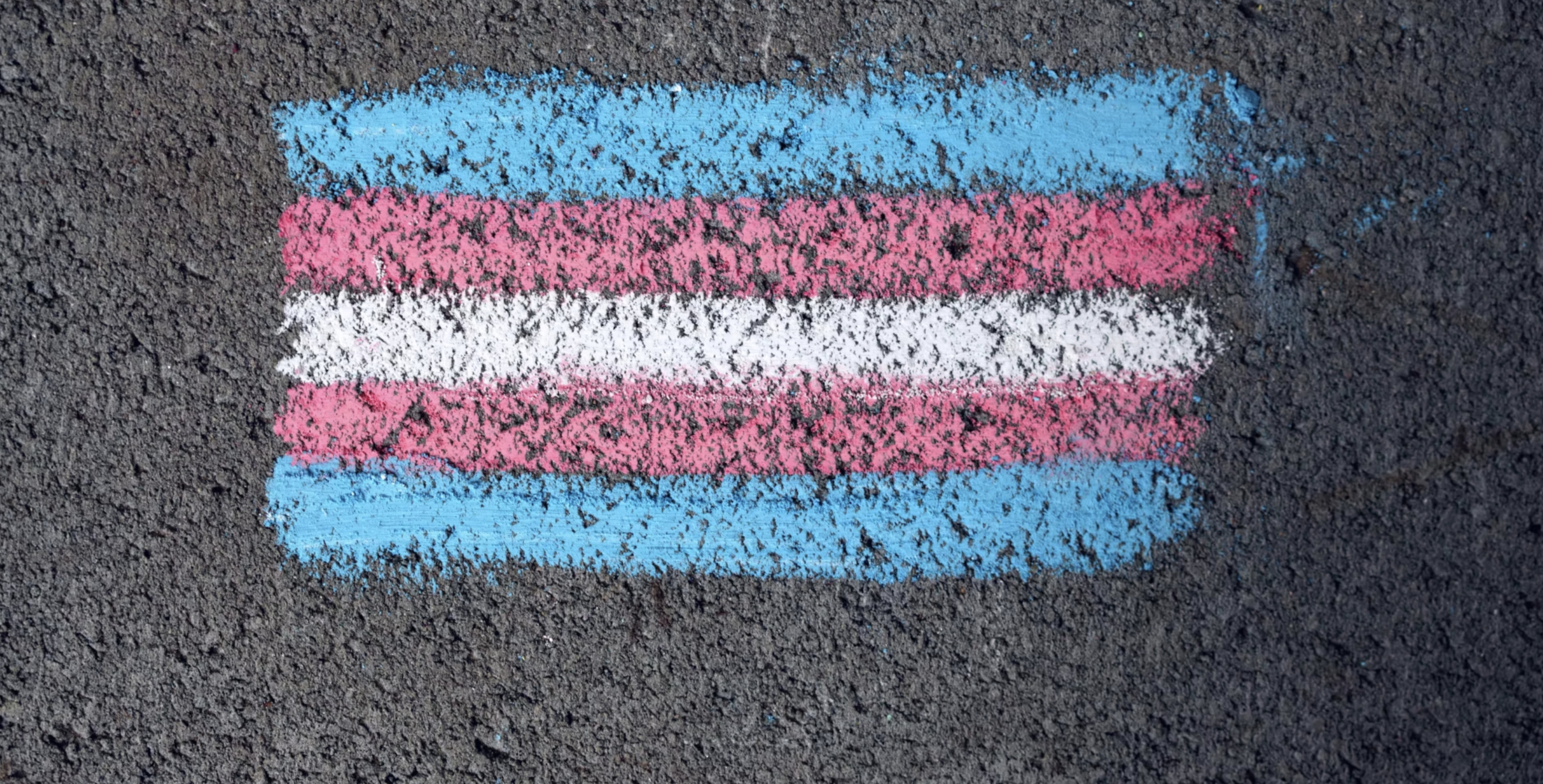 Conexión Unisabana 360