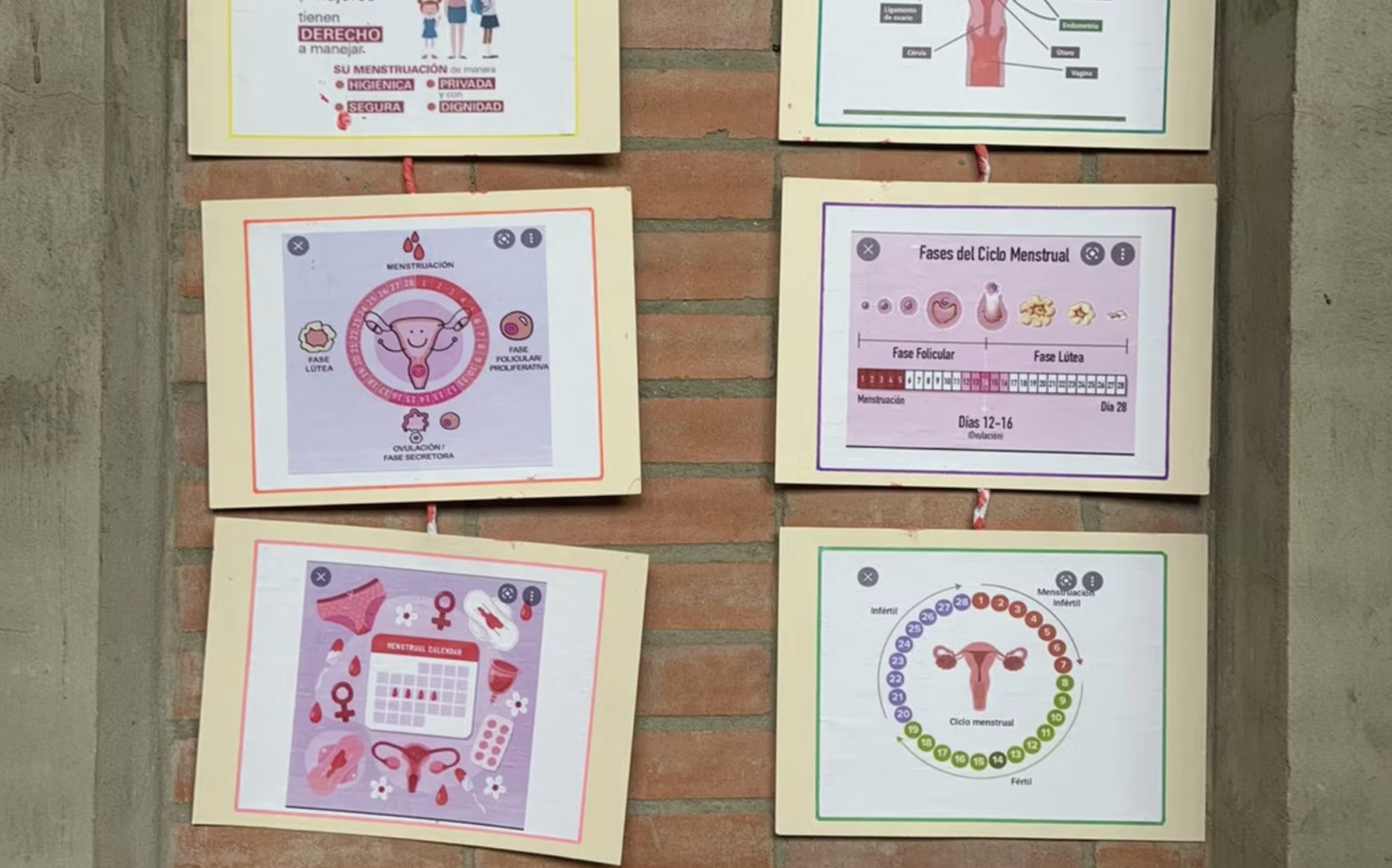 Conexión Unisabana 360