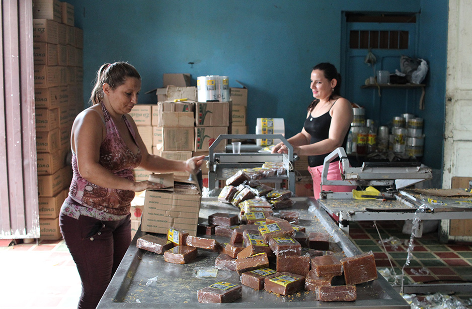 Conexión Unisabana 360