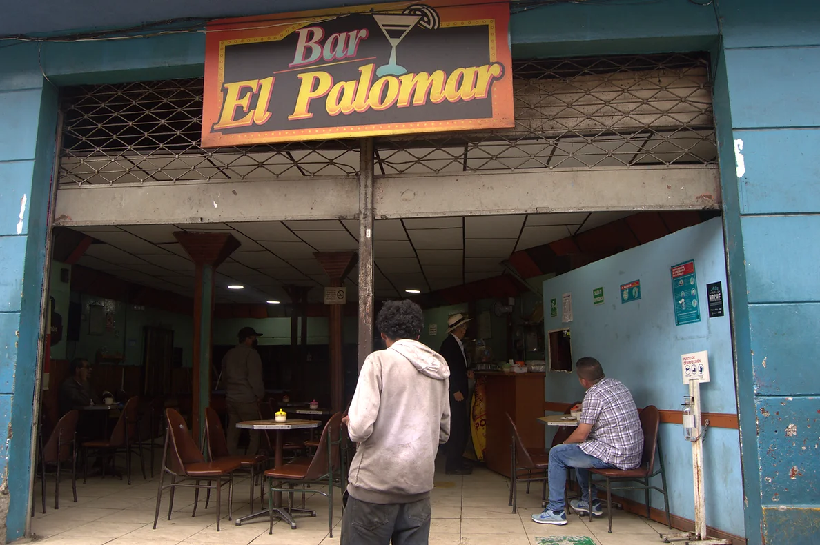 Renaciendo de las cenizas