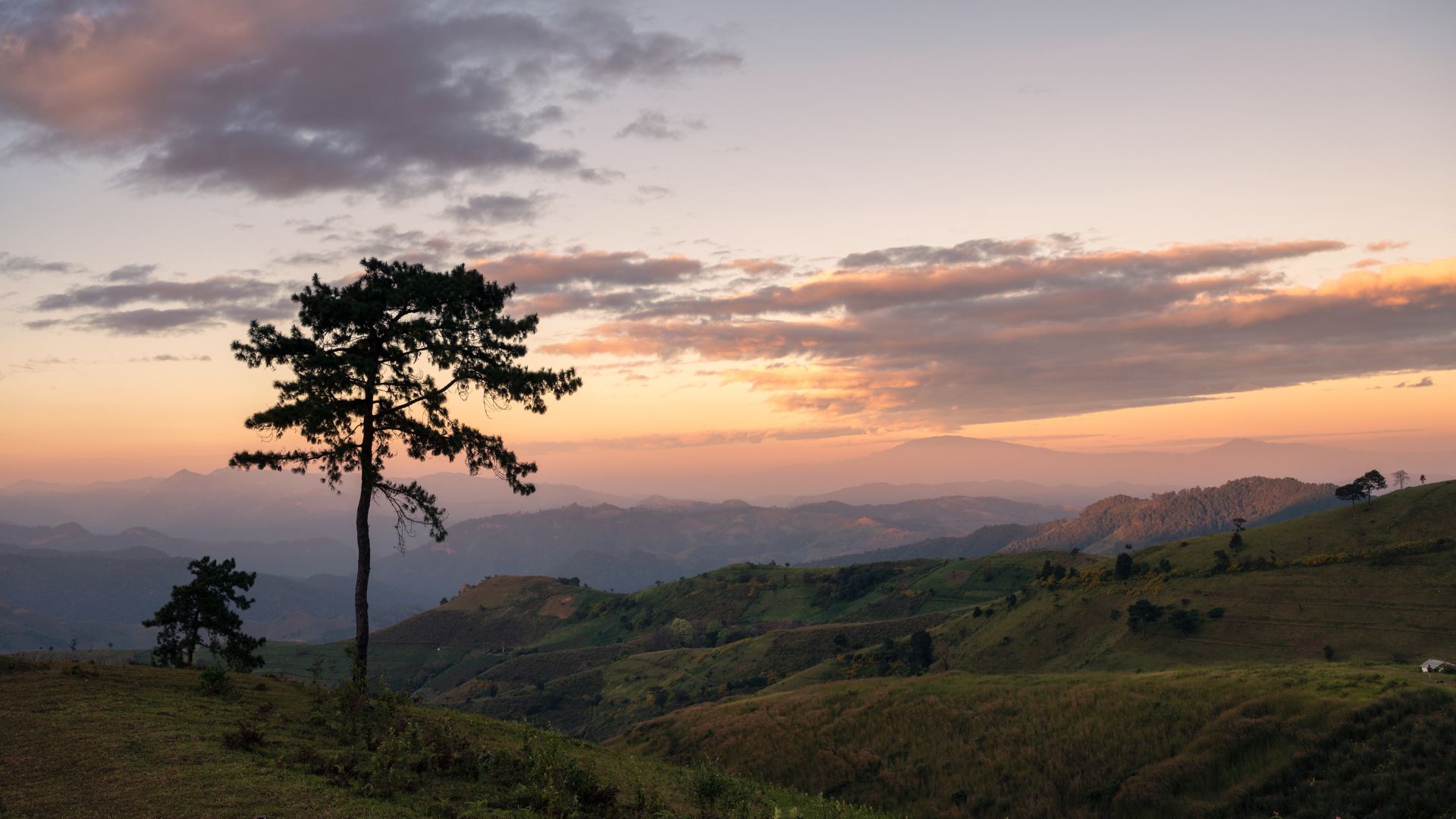 scenery of green hill with colorful