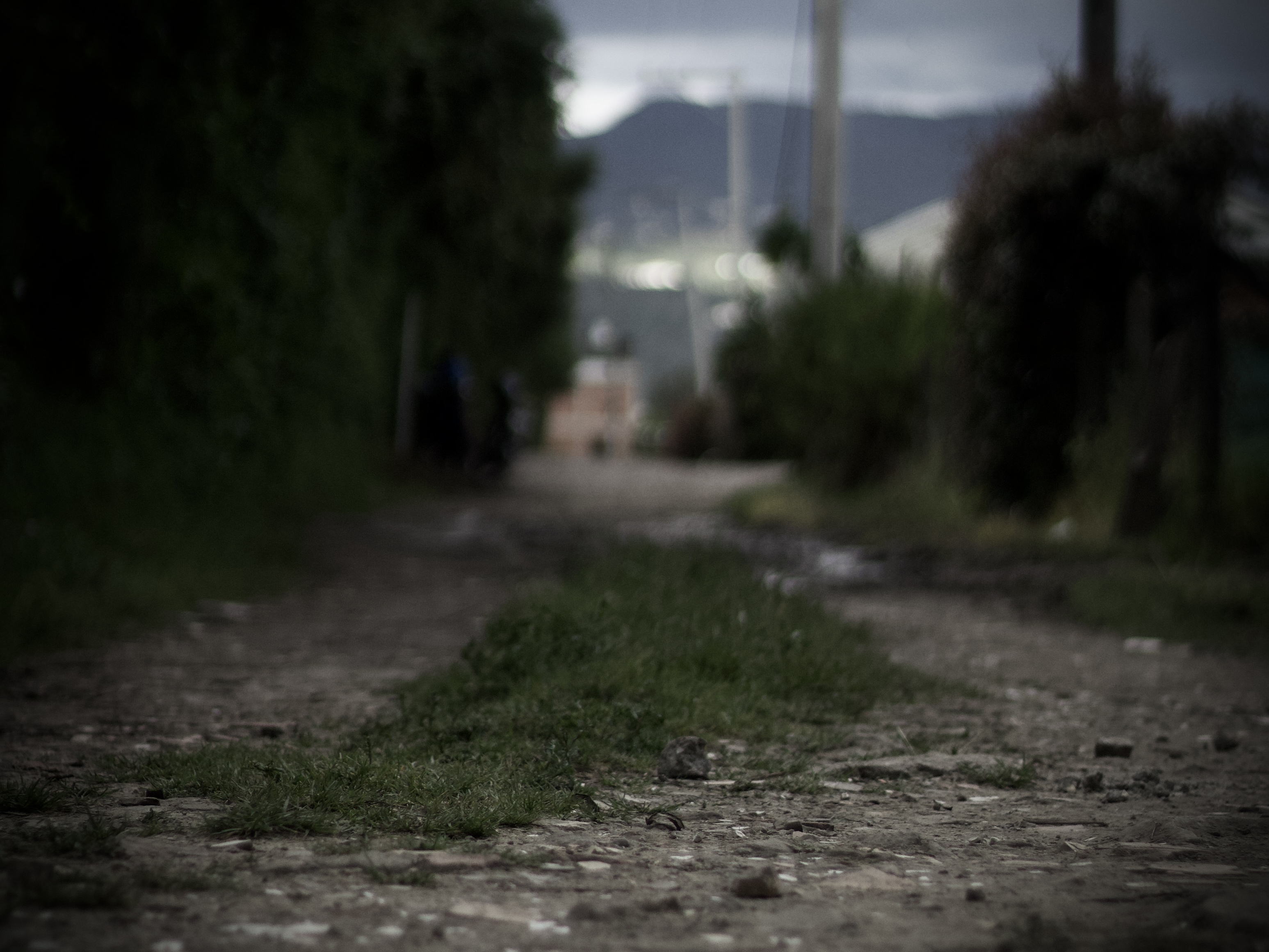 Camino en la vereda Canelón en Cajicá en agosto de 2025
