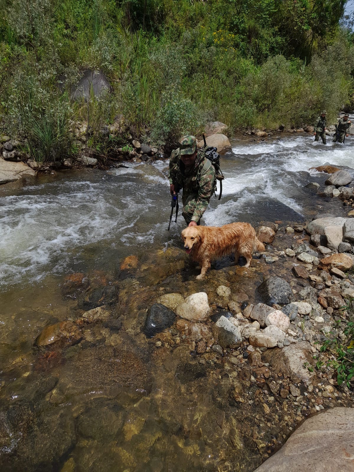 Se ve Héctor Cuero en camuflado, con un perro de raza golden retriver y de fondo un río y una selva frondosa