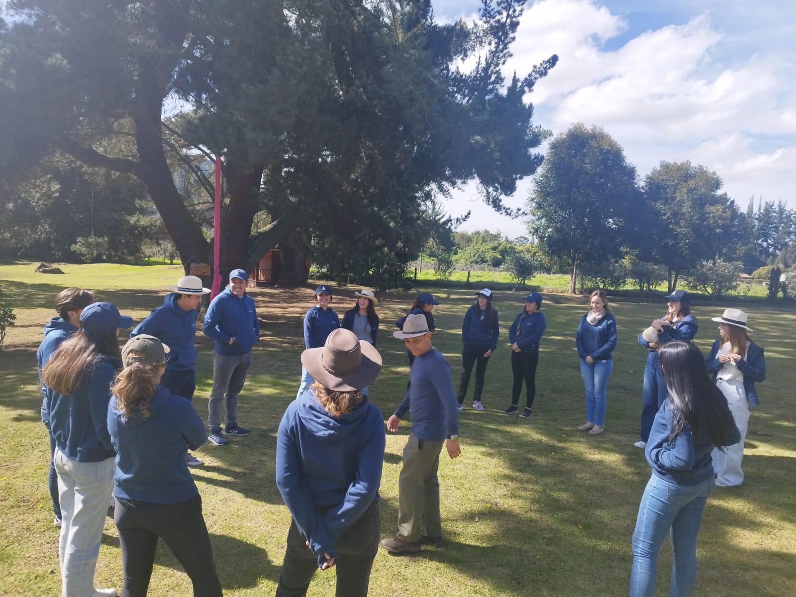Personas reunidas haciendo una actividad