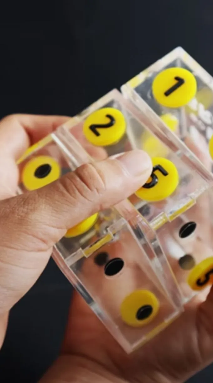 DADO: la editorial que quiere ser accesible para todos