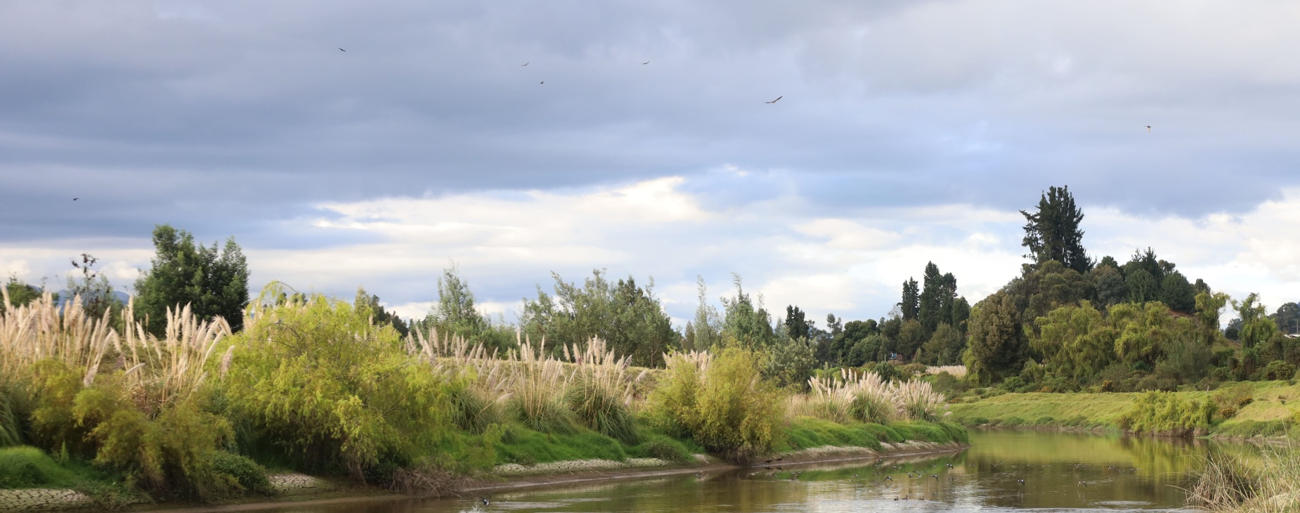 Foto del rio bogotá via chia - cajica
